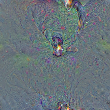 n02107683